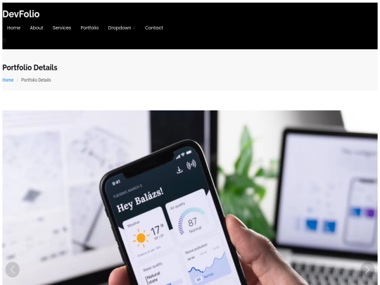 portfolio-details screenshot