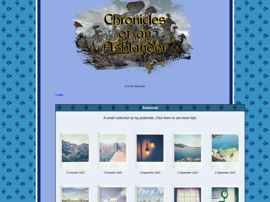 pages/polaroids screenshot