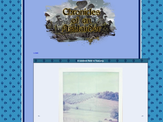 pages/polaroids/pl_240724Campo screenshot