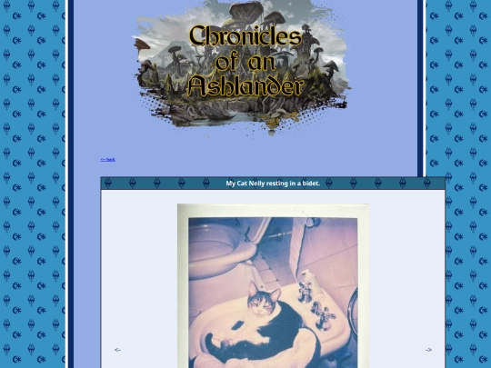pages/polaroids/pl_240725Nelly screenshot