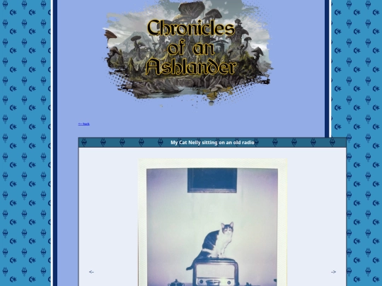 pages/polaroids/pl_240731Nelly screenshot