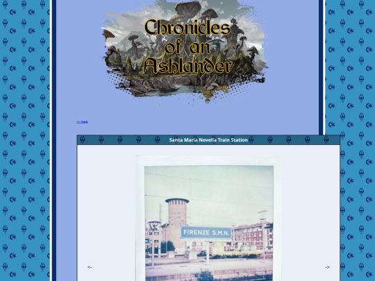 pages/polaroids/pl_240807Firenze screenshot