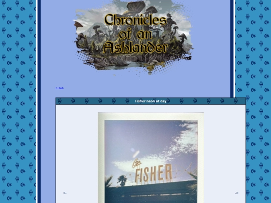 pages/polaroids/pl_250824Fisher screenshot