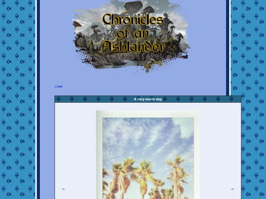 pages/polaroids/pl_250824Palms screenshot