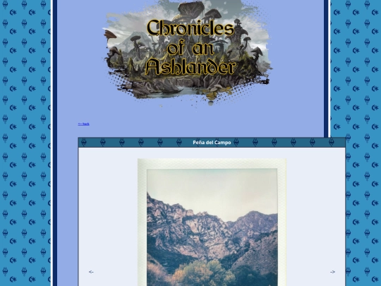pages/polaroids/pl_251013Campo screenshot