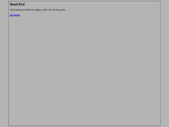 textAdventures/CC/rooms/DeadEnds/crackFarTooSmall screenshot