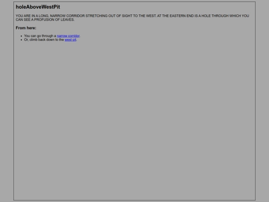 textAdventures/CC/rooms/holeAboveWestPit screenshot