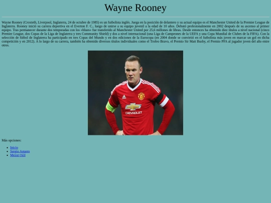 Wayne-Rooney screenshot