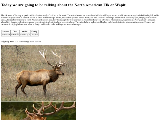 Elk screenshot