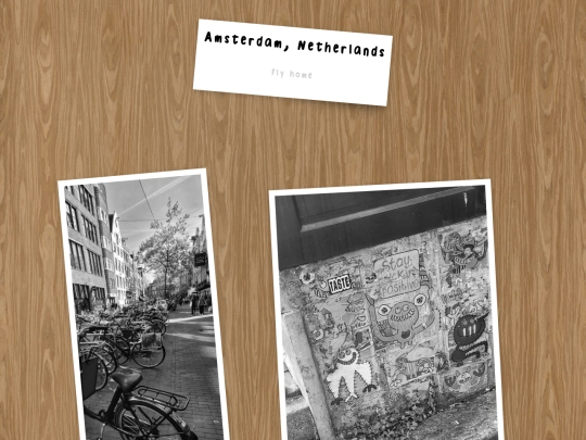 pages/travel/amsterdam screenshot
