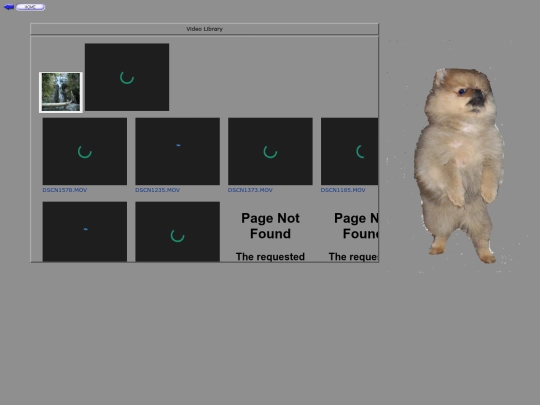 archived/video screenshot