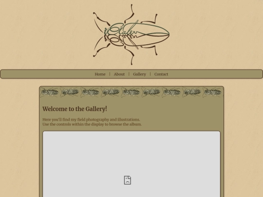 gallery screenshot