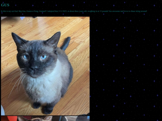Gus screenshot