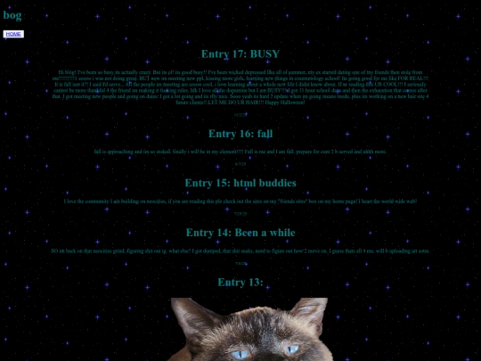 bog screenshot