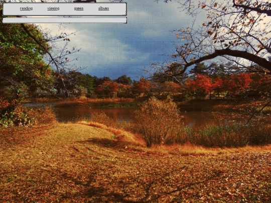 media screenshot