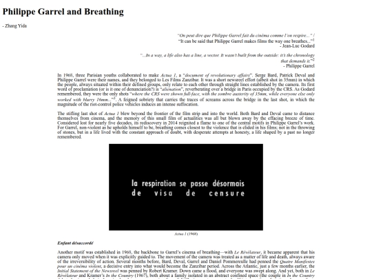issues/realism/garrelandbreathing screenshot