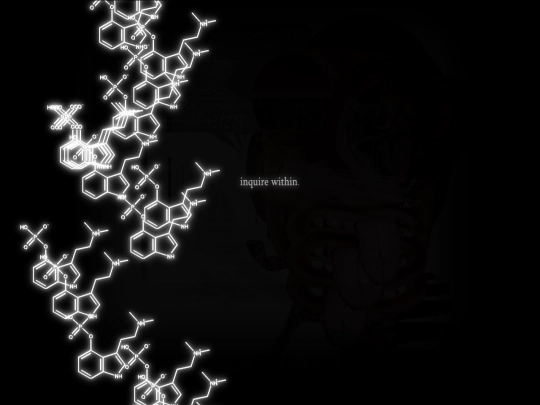 inquiry screenshot