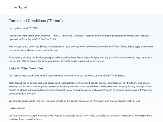 Terms and Conditions of turtlesquad.tk - TermsFeed screenshot