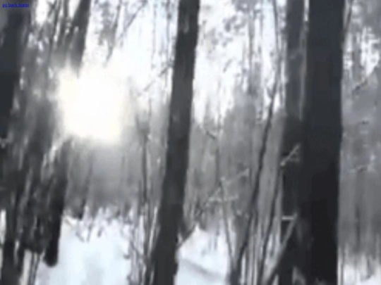 eden screenshot