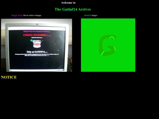 Gatinf14A screenshot