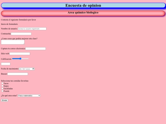 formulario/formulario screenshot