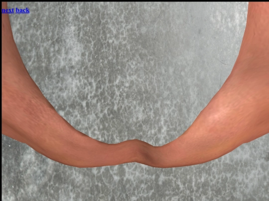 modelLoader2 screenshot