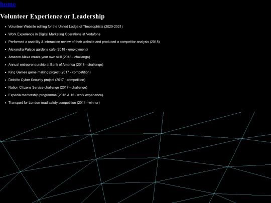 workExperience screenshot