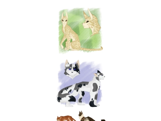 warriorCats/gallery screenshot