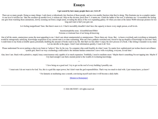 pages/essays screenshot