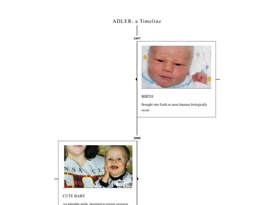 timeline screenshot