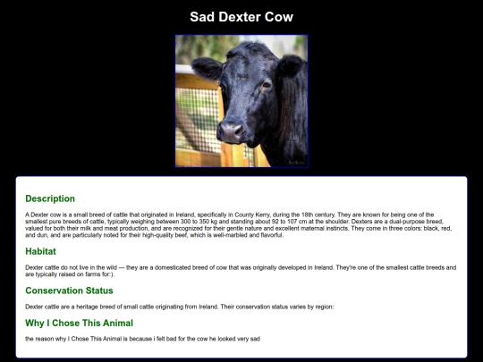 zooproject/cow screenshot
