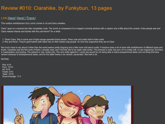 Review010 screenshot