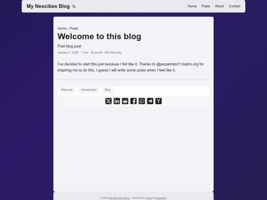 posts/first-post screenshot