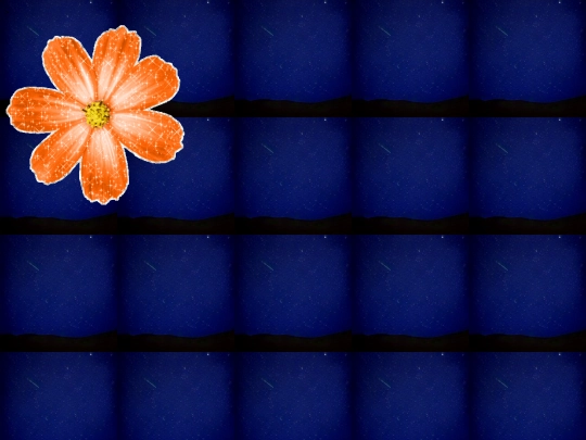 FIRSTCONTACT screenshot