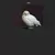 owlmale's avatar