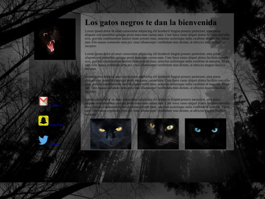 Index_gatos screenshot