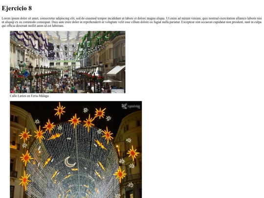 ejer8 screenshot