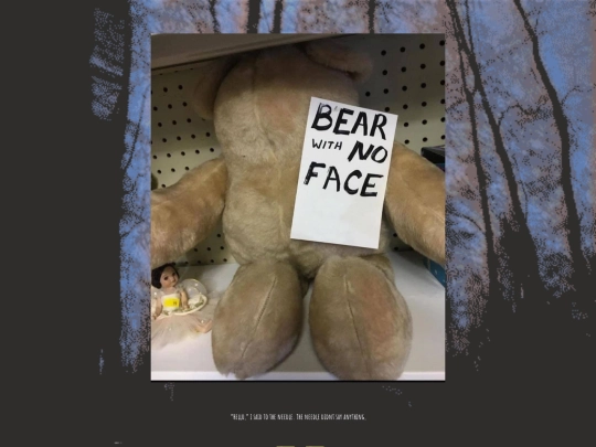 bear screenshot