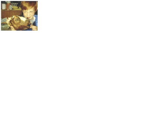 img/polku screenshot