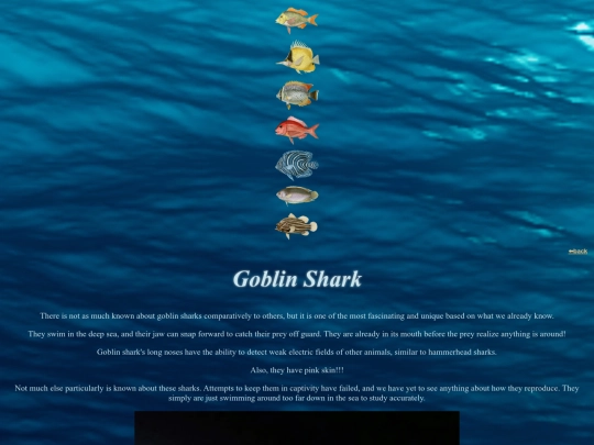fishdirectory/whales and sharks/goblinshark screenshot