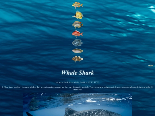 fishdirectory/whales and sharks/whaleshark screenshot