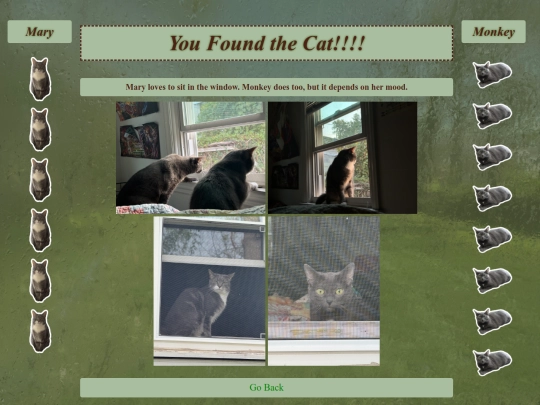 relief project5/cat screenshot
