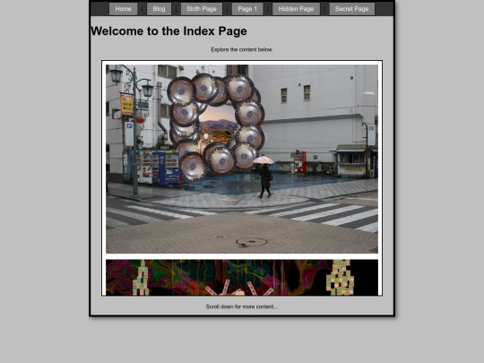 notanindex screenshot