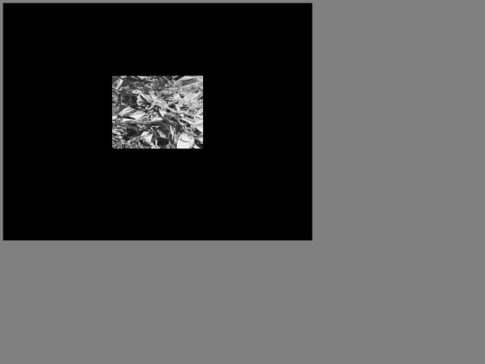 playtinfoilgame screenshot