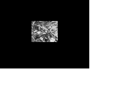 tinfoileater screenshot