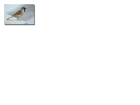 ejercicio/ejercicio6 screenshot