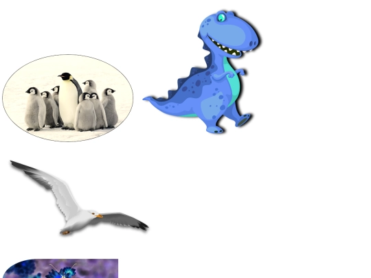 Imitation_images/imitations screenshot
