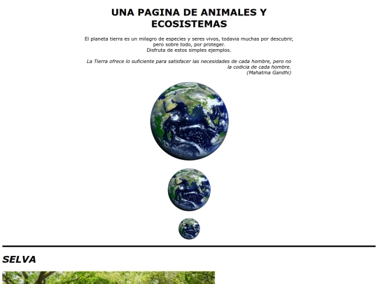 sech/practica5 screenshot