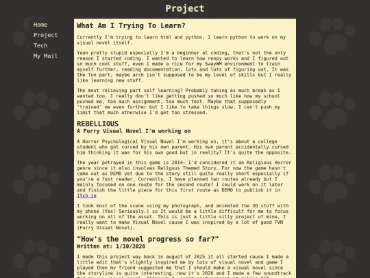 project screenshot
