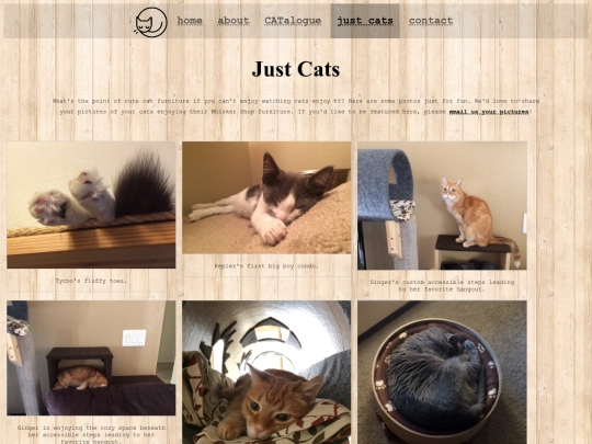 cats screenshot